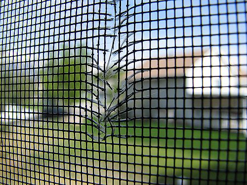 Window-Screen-Repair